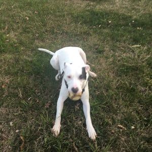 Meet your Posher, Juana